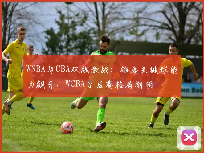 WNBA与CBA双线激战:雄鹿关键球能力飙升,WCBA季后赛格局渐明